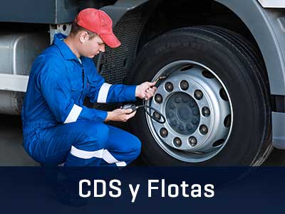 Trabajo CDS y Flotas